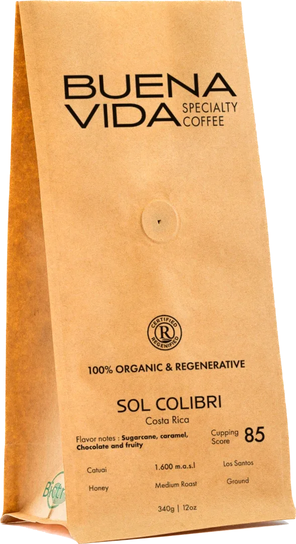 Sol Colibrí